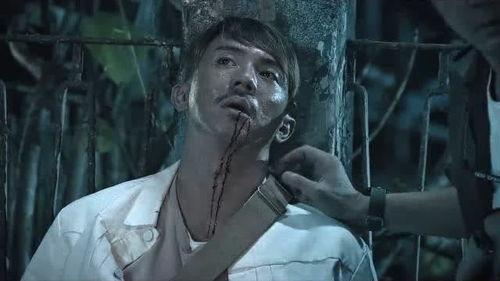 泄密者死,揭开神秘事件的真相面纱